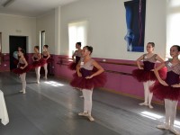DSC0105