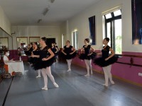DSC0229