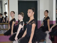 DSC0287