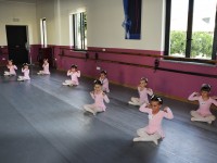 DSC0312