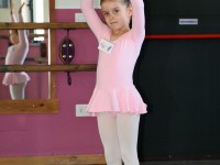 DSC0346