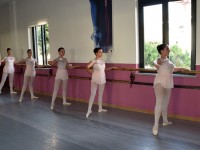 DSC0506