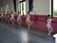 DSC0526