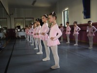 DSC0623