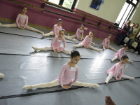 DSC0443