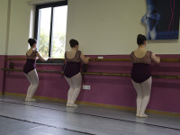 DSC0631
