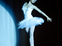 arm_8905