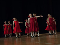 "Flamenco" (1)