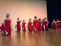 "Flamenco" (3)