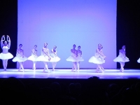 DSCN8808