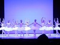 DSCN8816