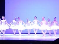 DSCN8823