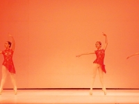 DSCN8842