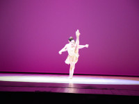 1_DSC0247