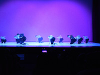 DSC0084
