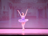 DSC0195