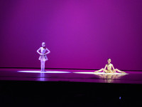 DSC0204