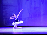 DSC0247
