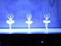DSC0544