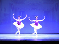 DSC0556