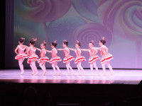 DSC0609