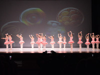 DSC0670