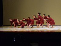 DSC0810