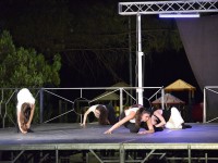 DSC0233