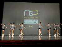 gruppo-righe-1