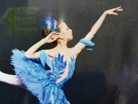 uccellino-azzurro-1
