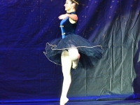 TET_8116