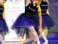 TET_8162