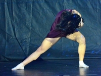 TET_8498