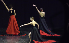 Open Dance 2024