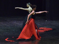 AssassinTango1