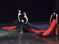 AssassinTango2