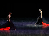 AssassinTango2a