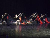 AssassinTango3