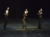 Modern.trio8_