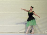 DSC0242