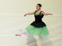 DSC0243