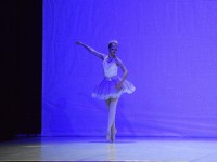 DSC0261