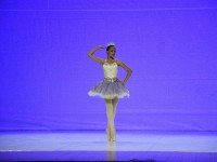 DSC0263