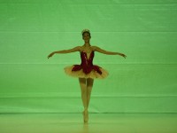 DSC0278