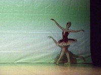 DSC0282