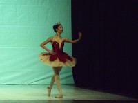 DSC0288