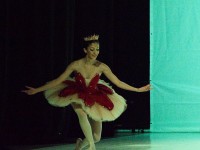 DSC0299a