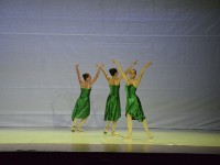 DSC0371