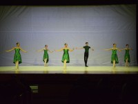 DSC0381