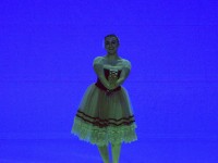 DSC0430